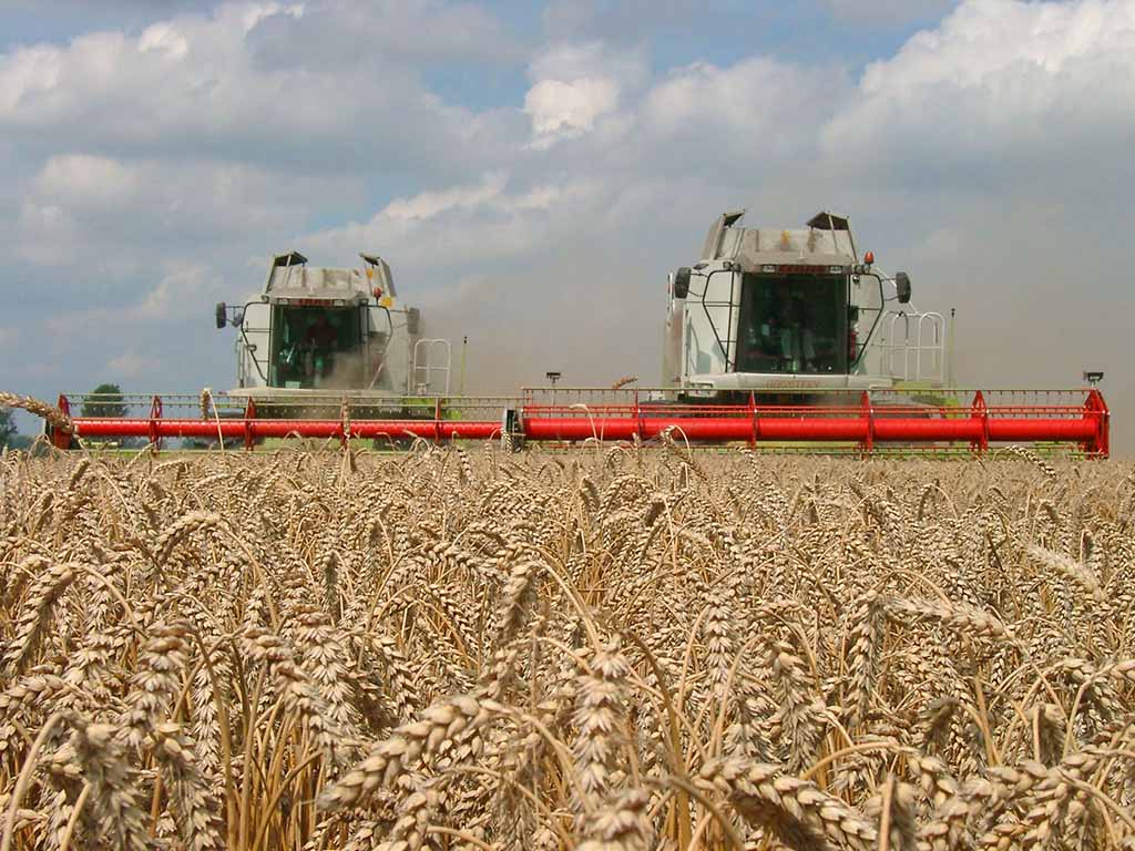 Bild BLAk Acker und Pflanzenbau