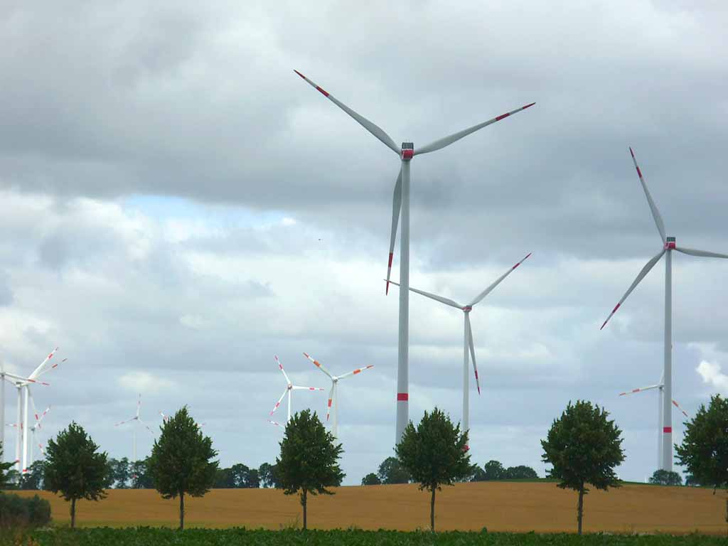 Bild BLAk Regenerative Energien