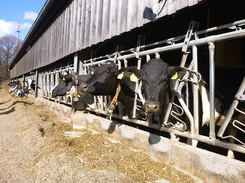 Bild BLAk Tierhaltung