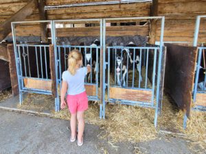 Bild Beitrag Bildungszeit - Ernährungsdetektive