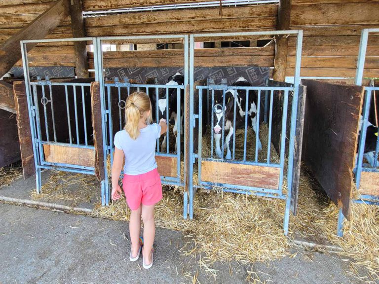 Bild Beitrag Bildungszeit - Ernährungsdetektive