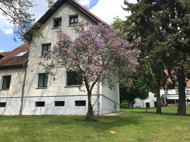 Bild Haus Wiesengrund - Heimvolkshochschule am Seddiner See